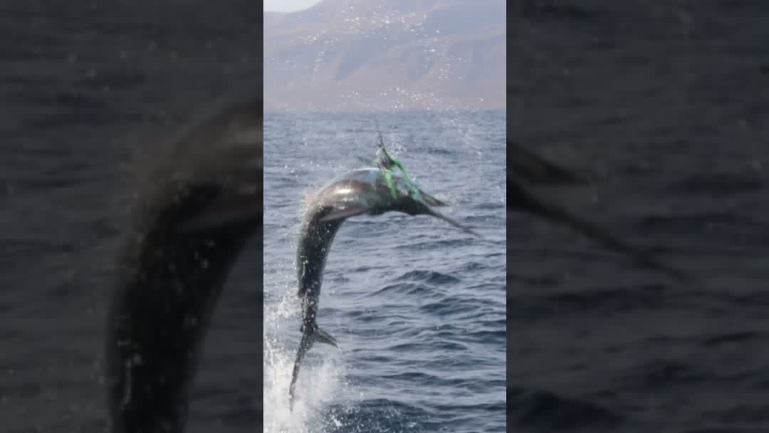 Fighting a big fish aboard the Ocean’s Fisher